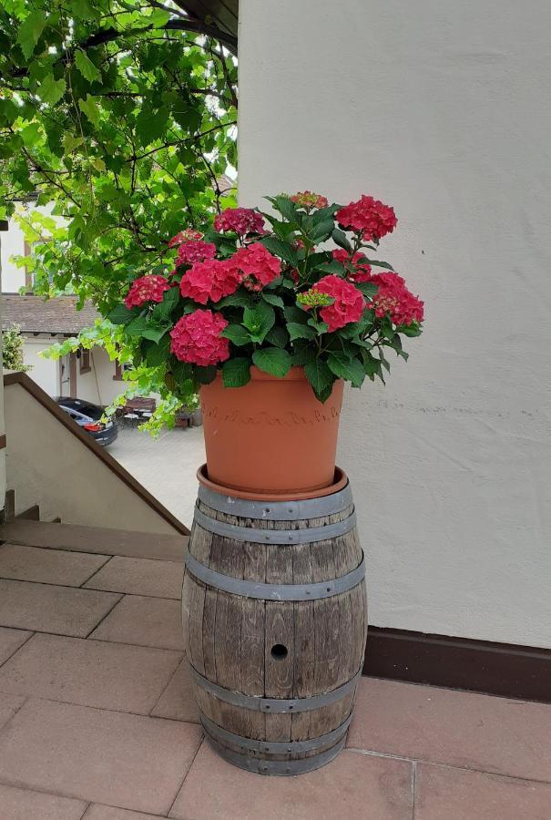 Das Landhotel Weingut Gernert 상트마틴 외부 사진
